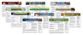 Thumbnail 12 Niche Adsense Sites Thumbnail 12 Niche Adsense Sites
