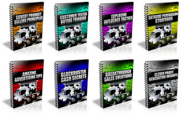 Product picture 8 PLR Report and Audio Pack