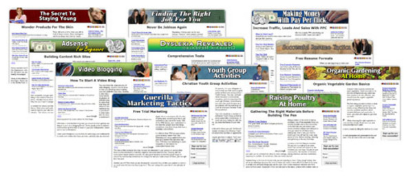 Product picture 12 Niche Adsense Sites