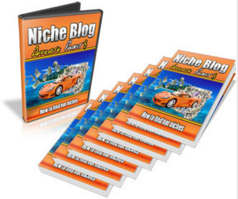 Product picture Niche Blog Affiliate Profits