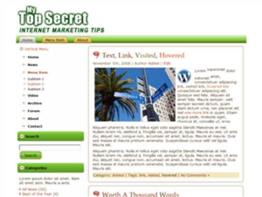 Product picture Top Secret Wordpress Theme - Private Label Rights