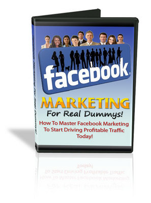 Product picture Facebook Marketing for Real Dummys - Video Series