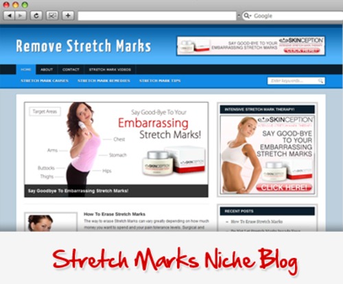 Product picture Remove Stretch Marks Niche Wordpress Blog 