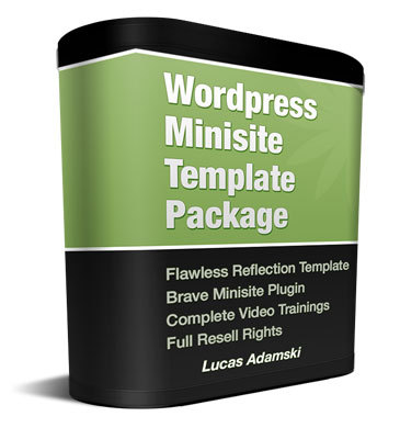 Product picture Flawless Reflection WordPress Minisite