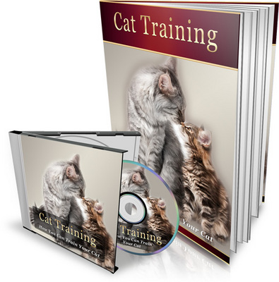 Product picture How You Can Train Your Cat : Audiobook